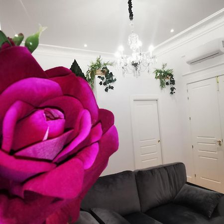 Rua Suites Boutique Salamanca Szoba fotó